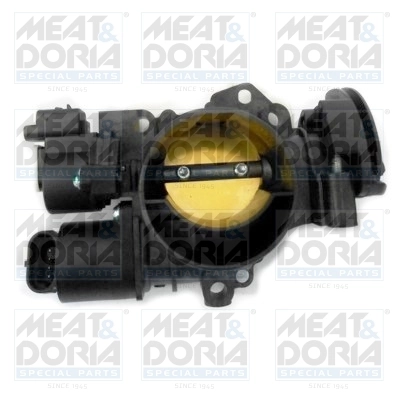 Throttle Body